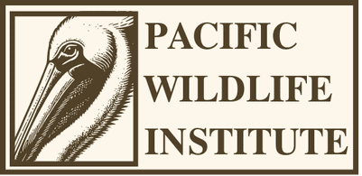 Pacific Wildlife Institute